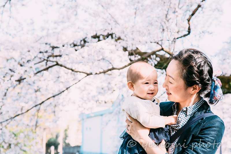 ◆ハルウララ～桜の撮影会の御礼