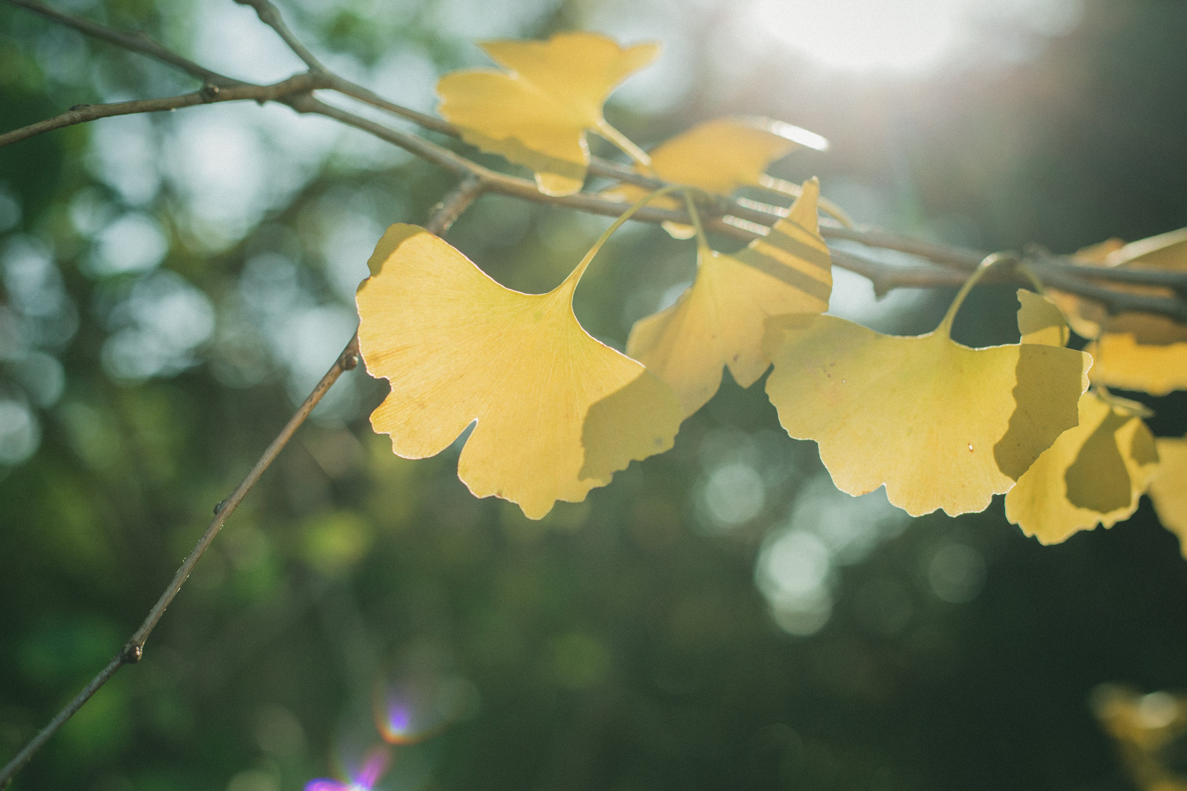 ◆口コミで表彰されました！