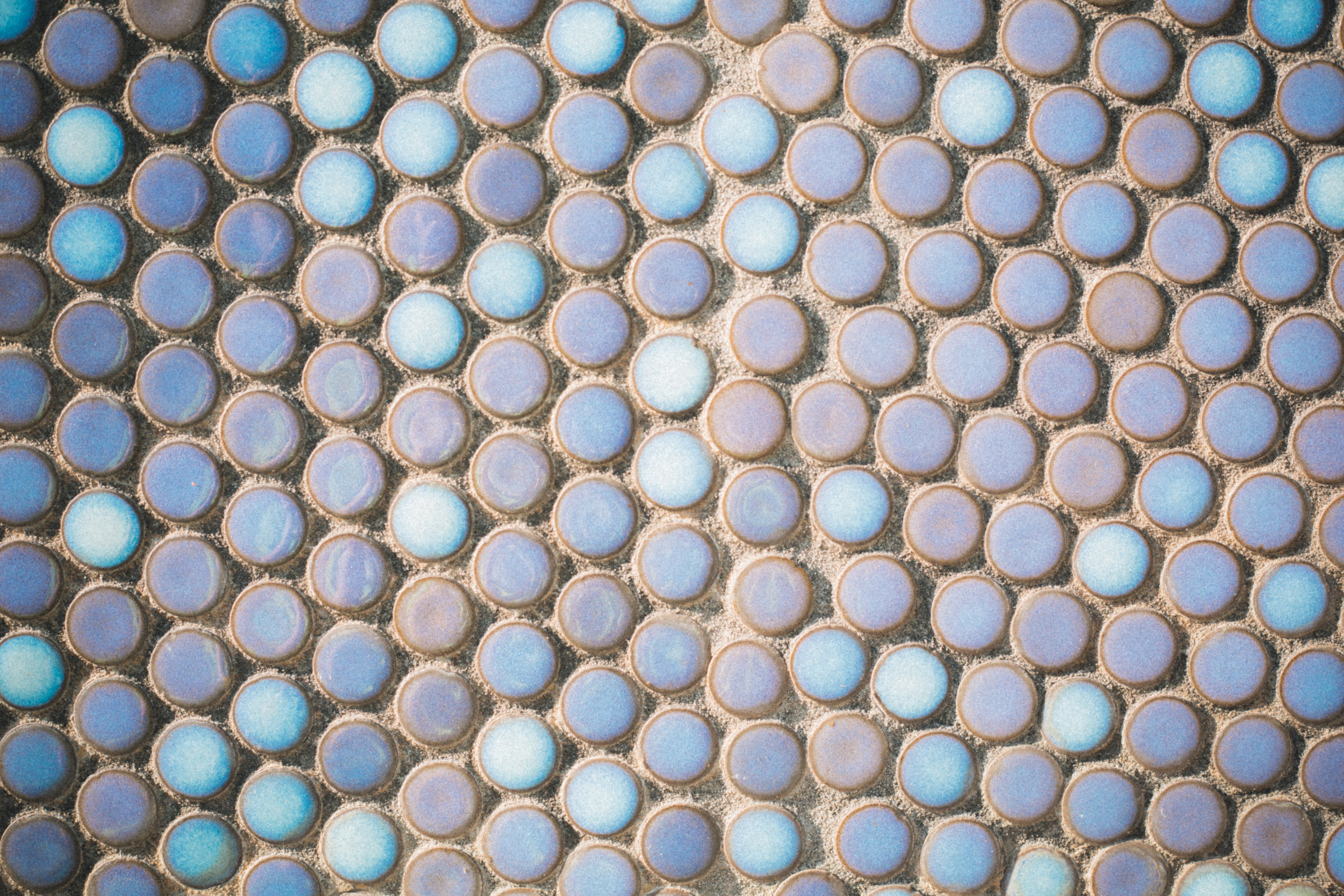 ◆6月を振り返る。そしてさくらふ写真2年目へ！