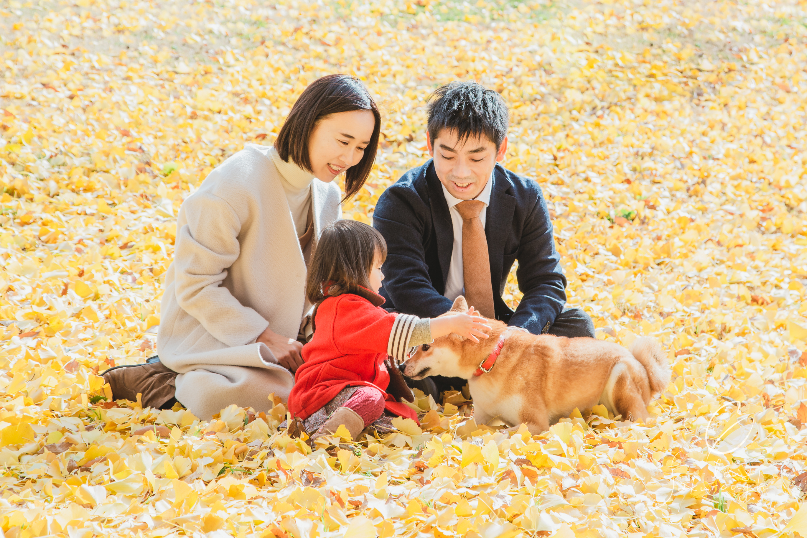 ◆紅葉に包まれて。年賀状用の家族写真は秋がおすすめ！