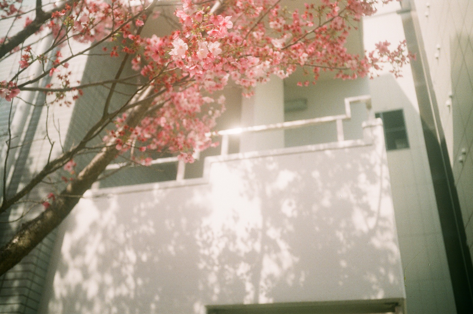 ◆3月4月の振り返り