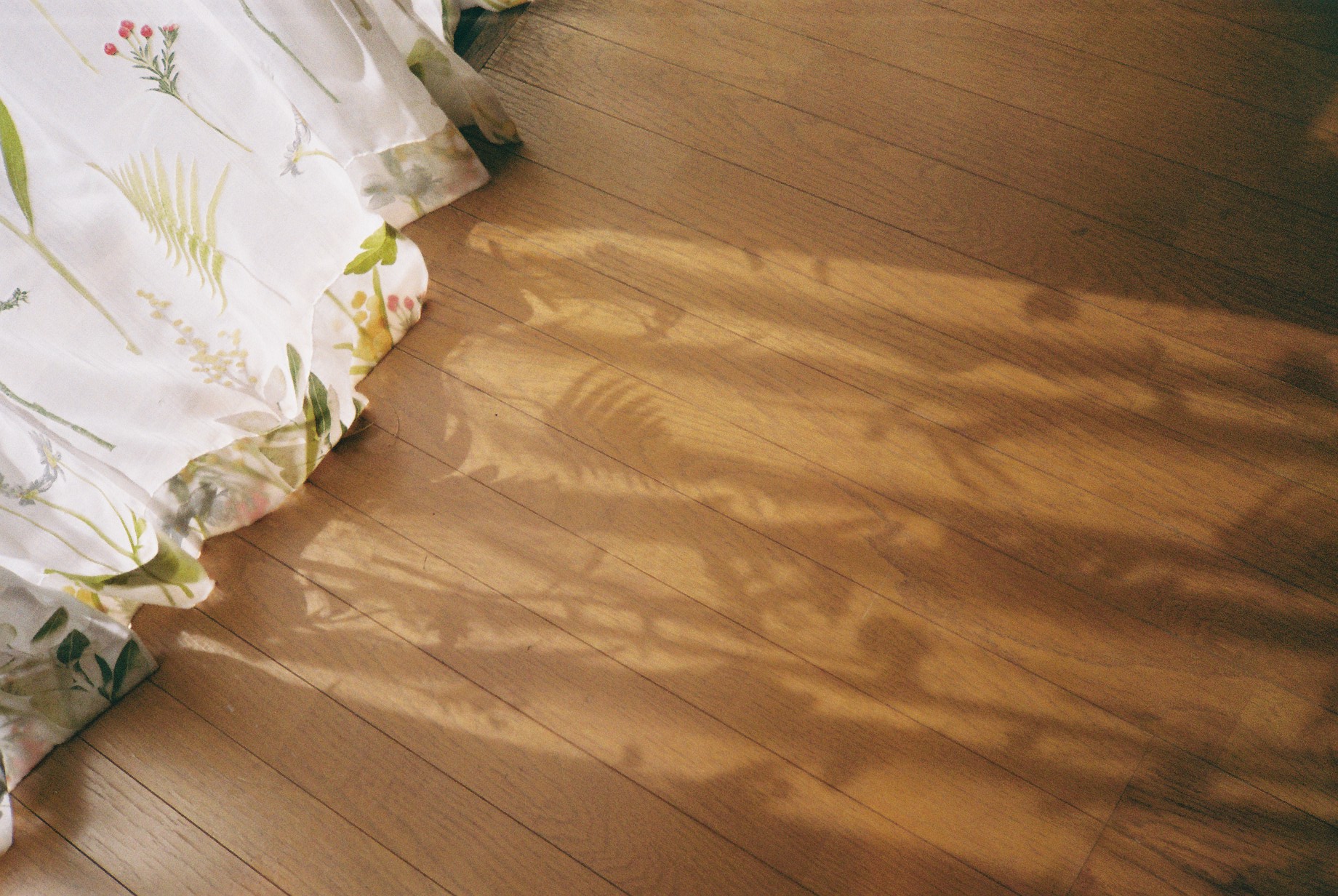 ◆さくらふ写真5年目に思う「リピーターさんの存在」について