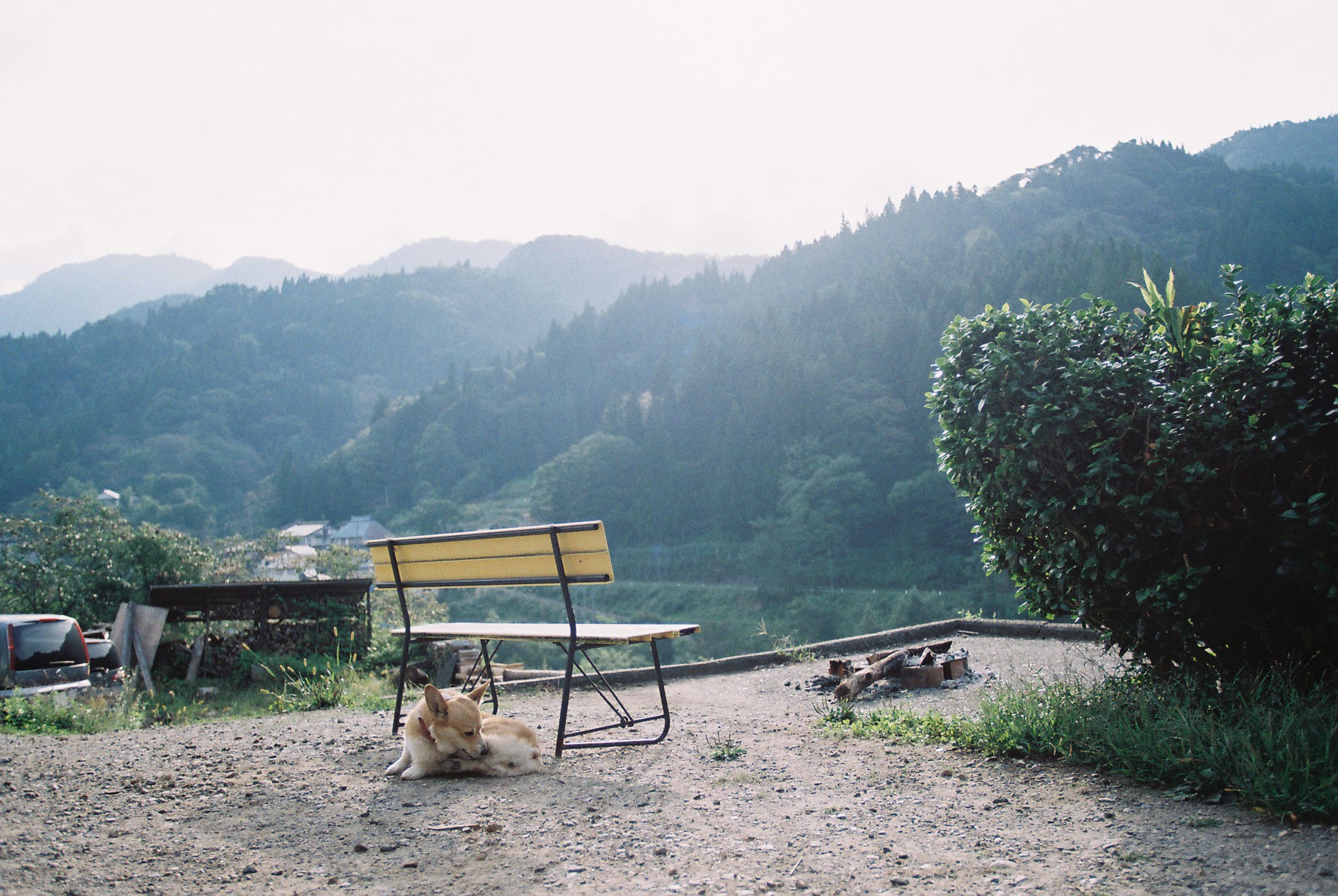 ◆長野移住への思い。今後の活動方針について