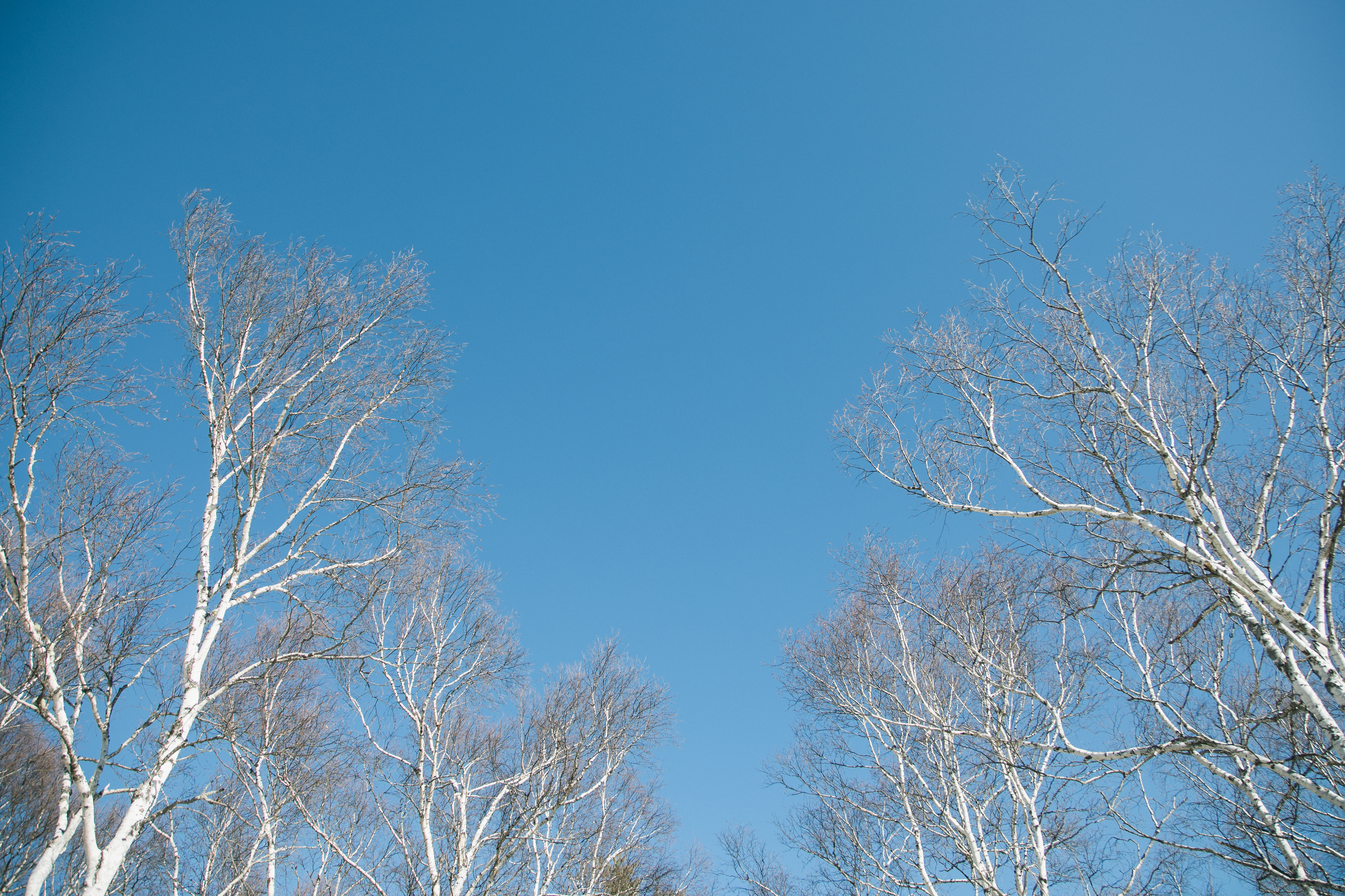 ブログ移行のお知らせ